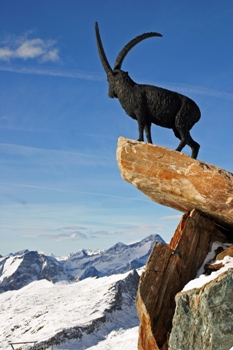 This amazing photo of a big horned mountain goat surveying the world from the top of an Alps peak - the ultimate in "Extreme" -  was taken by photographer Cristiano Galbiati of Milan, Italy.